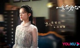 陈凯歌张婧仪爆料视频,幕后真相与情感纠葛